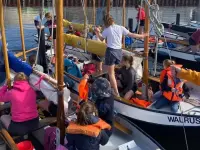 dolfijnen zijn aan het zeilen op zomerkamp