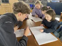 dolfijnen zijn aan het zeilen op zomerkamp